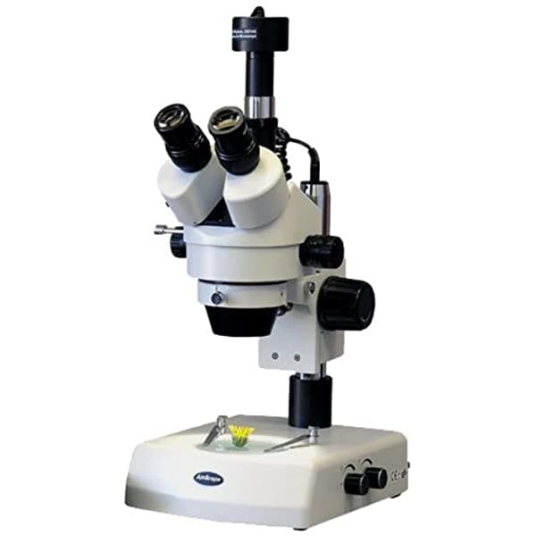 AmScope SM-2TZ-M Microscopio Digital Profesional Trinocular con Zoom Estéreo, Oculares WH10x, Aumento 3.5X-90X, Objetivo de Zoom 0.7X-4.5X, Iluminación Superior e Inferior