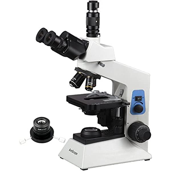 AmScope T580B-DK profesional microscopio compuesto trinocular, oculares WF10X y WF20X High-Point Plan, aumento 40X-2000X, iluminación de campo claro/campo oscuro, condensador Abbe, halógena de doble capa, platina mecánica, óptica antimoho de alto contraste