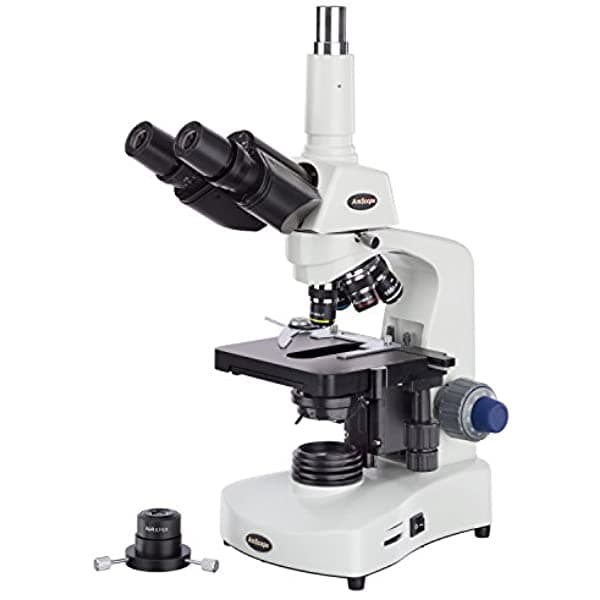 AmScope T340B-DK-LED Siedentopf microscopio compuesto trinocular, aumento 40X-2000X, campo claro/campo oscuro, oculares WF10X y WF20X, iluminación LED, condensador Abbe, platina mecánica de doble capa