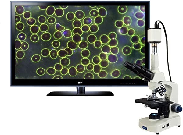 Omax 40X-2500X 1080P HDMI Microscopio Trinocular Siedentopf Darkfield de Laboratorio LED para Análisis de Sangre en Vivo M8311Z-A191BOIL-HD80A