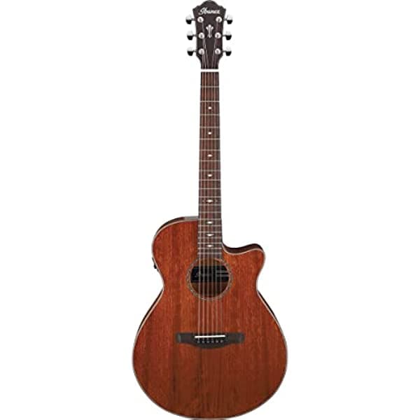 HOSHINO Ibanez AEG220 AEG Series Guitarra Electroacústica de Corte Único, Natural Bajo Brillo
