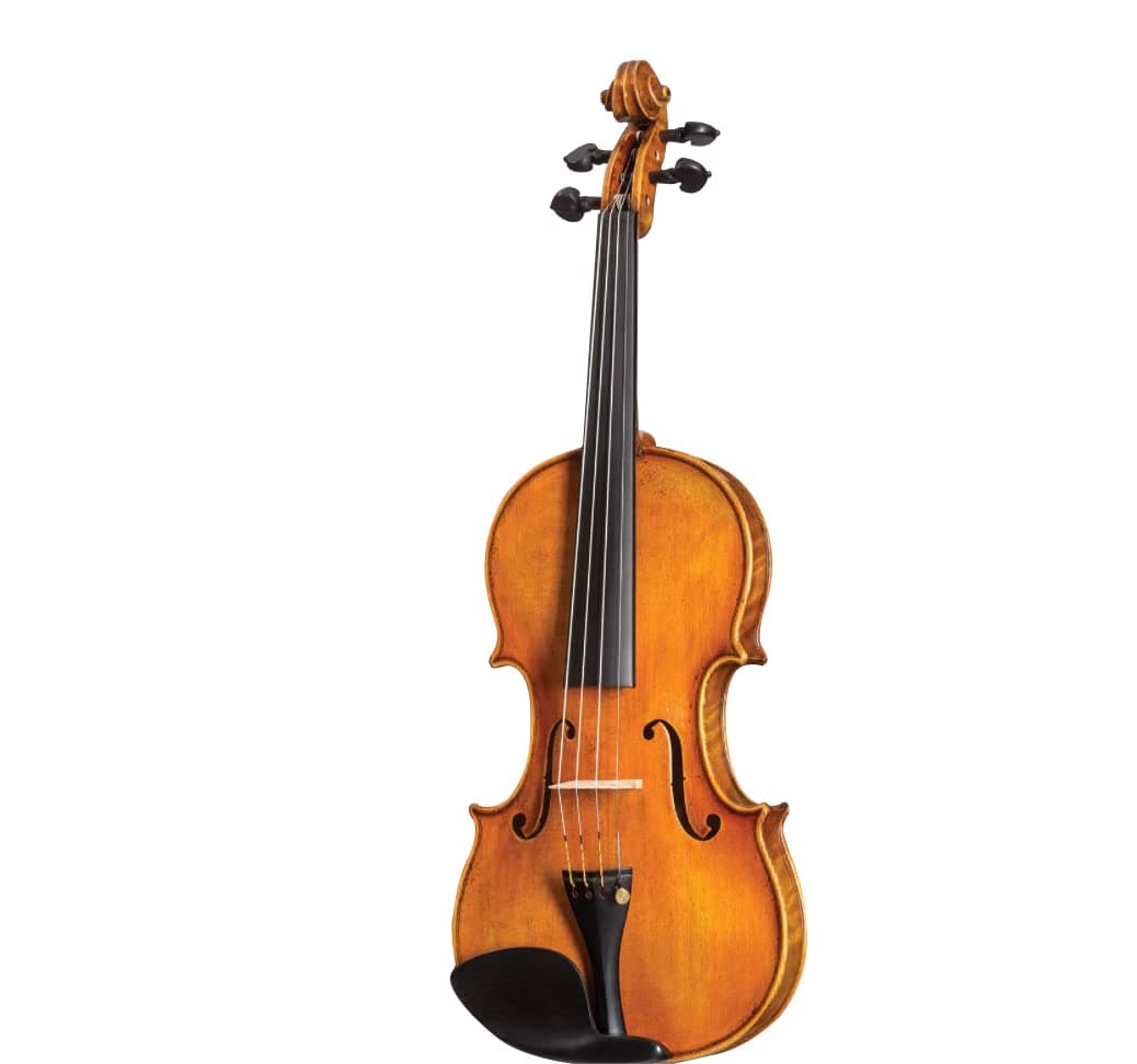 D Z Strad Two-Piece Back Modelo 800 Violín 4/4 Tamaño Completo con Cuerdas Dominant, Arco, Estuche y Resina (Full Size 4/4)