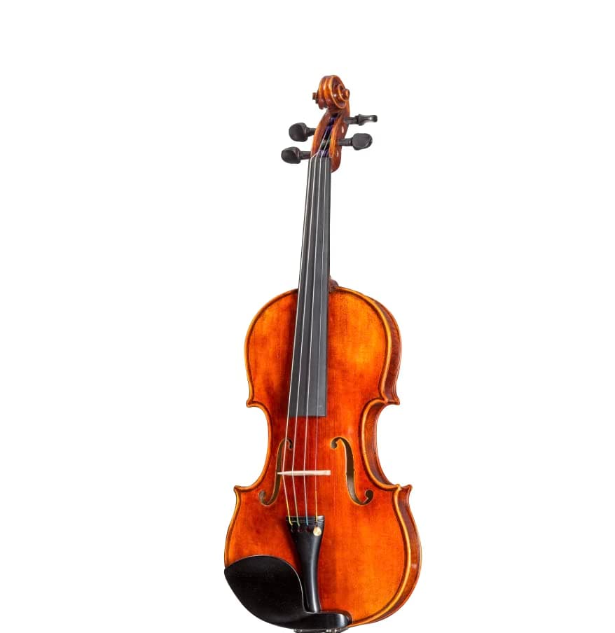 D Z Strad Modelo 400 Violín 4/4 Tamaño Completo con Cuerdas Dominant, Arco, Estuche y Resina
