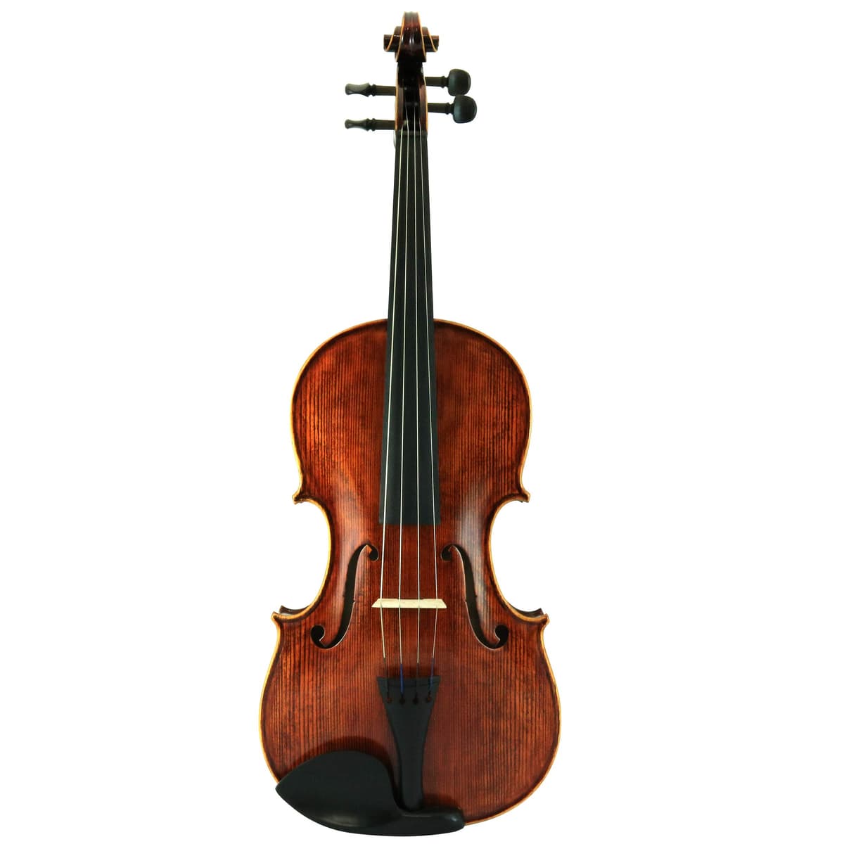 D'Luca Orchestral Series PD02-15.5 Viola 15.5" Hecha a Mano, Outfit Completo para Orquesta
