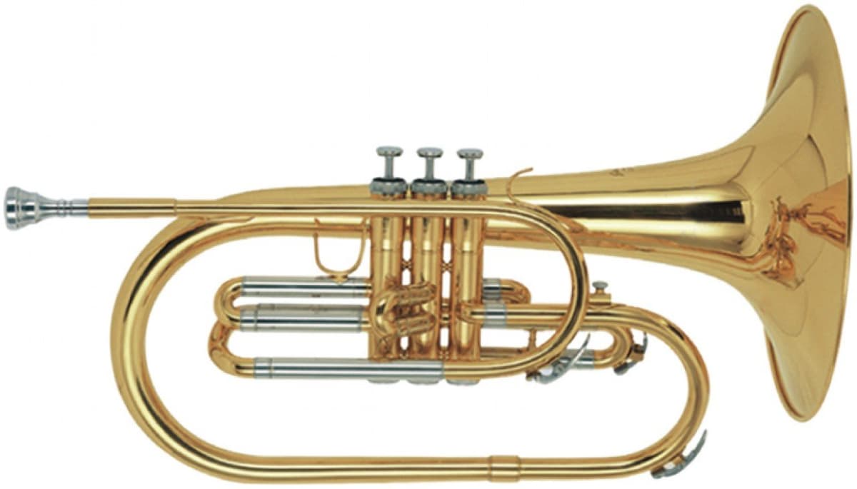 Stagg WS-MB225 Mellophone Marchante | Mellófono de Marcha | Instrumento de Banda | Modelo WS-MB225