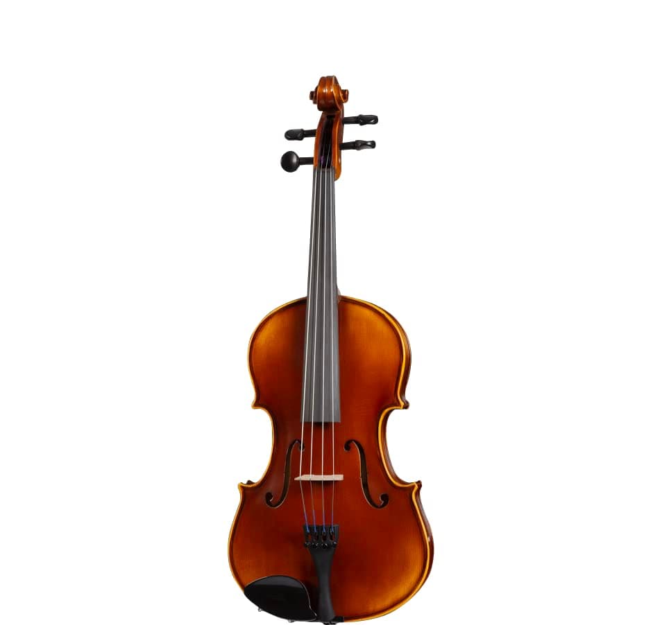 D Z Strad 120 viola - cuerdas, estuche, arco, apoyabrazos y resina (15")