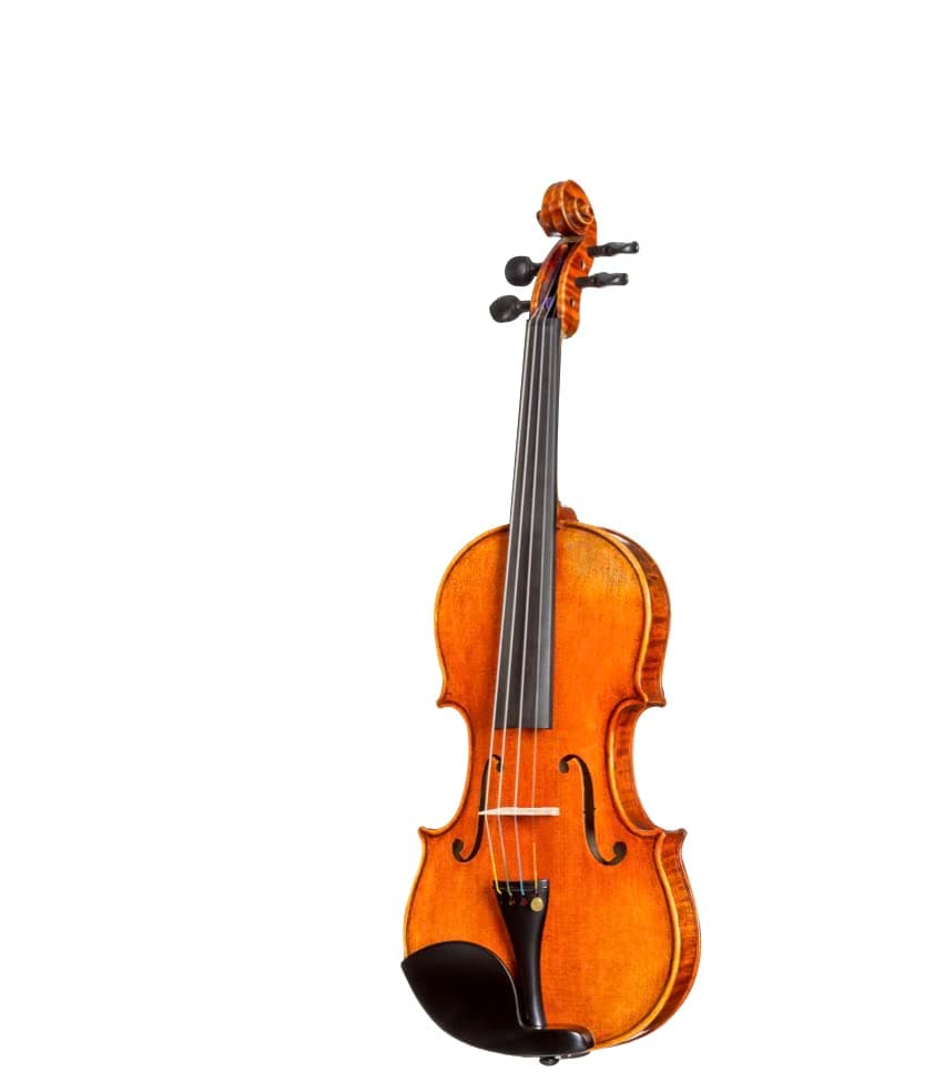 D Z Strad 250 Violín 4/4 Tamaño Completo con Estuche, 2 Arcos, Soporte de Hombro y Resina