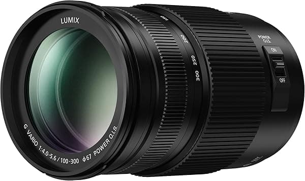 Panasonic H-FSA100300E Lumix G VarioUltra Lente - Negro