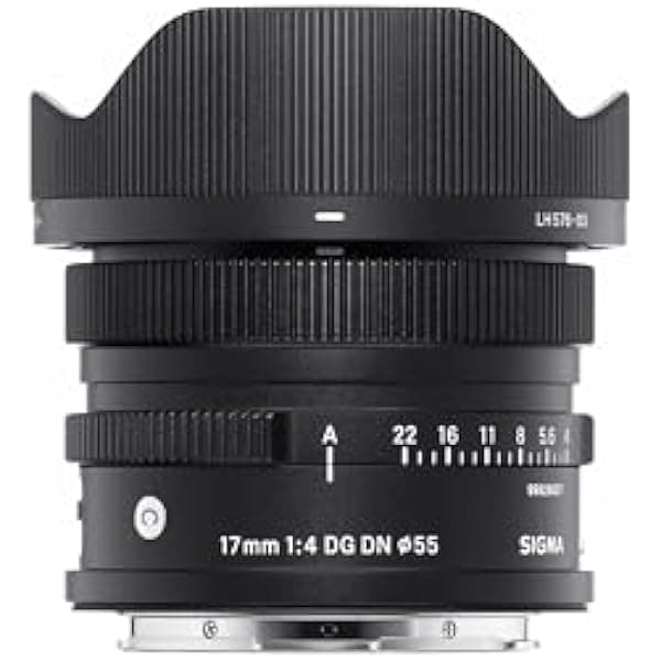 Sigma 0.669 in F4.0 DG DN para montaje en L 415969