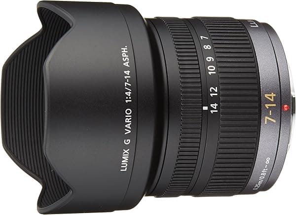 Panasonic Lente micro cuatro tercios de 0.276-0.551 in f/4.0 para cámaras réflex digitales Panasonic - Versión internacional (sin garantía) H-F007014