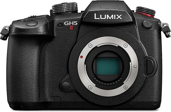 Panasonic DC-GH5M2 LUMIX 5G/4K/Live Support/USB Carga Cámara Digital Versión Japón (solo cuerpo)