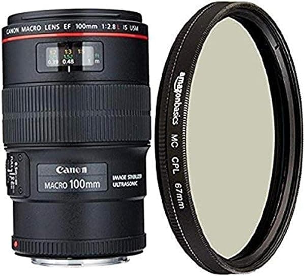 Canon EF 100mm f/2.8L Macro IS USM Lente Macro 1:1 Montura EF Full Frame Hybrid IS Anillo USM 9 Hojas Filtro 67mm 3554B002AA