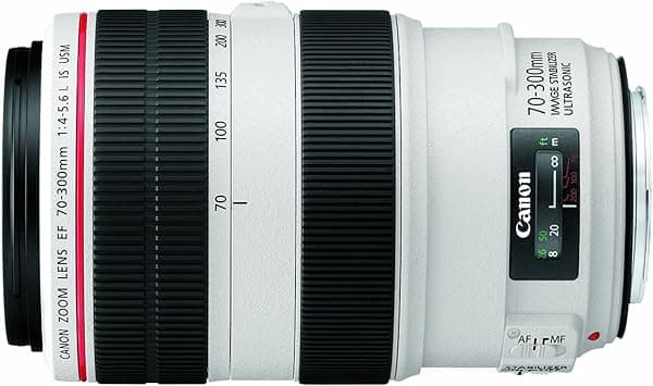 Canon EF 70-300mm f/4-5.6L IS USM Lente Teleobjetivo Zoom Montura EF Full-Frame Estabilizador 4 Pasos USM Anillo Sellado al Clima 67mm 1050g 4426B002