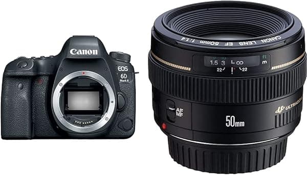 Cámara Canon US 26.2 EOS 6D Mark II con pantalla LCD de 3 pulgadas