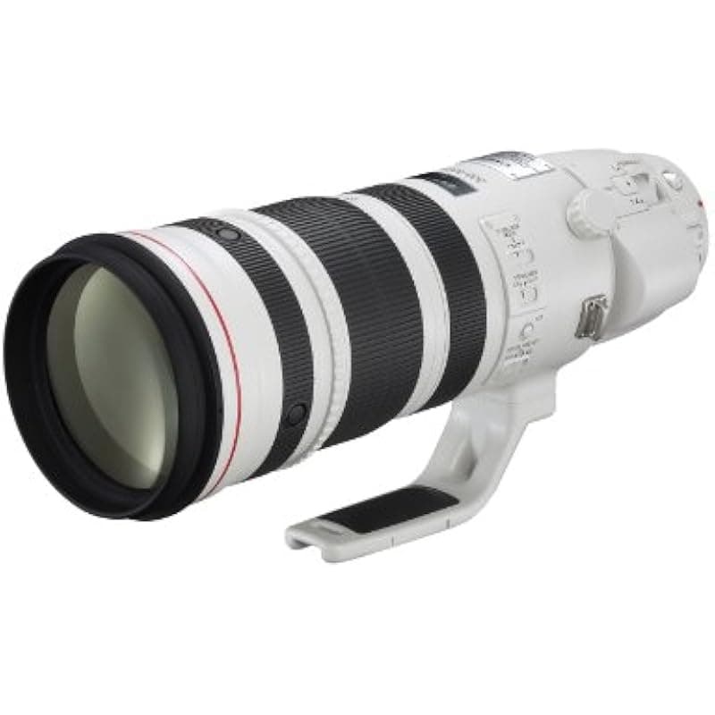 Canon EF 200-400mm f/4L IS USM Lente Super Teleobjetivo Extender Interno 1.4x (280-560mm) Estabilizador 4 Pasos Ring USM Montura EF 5176B002