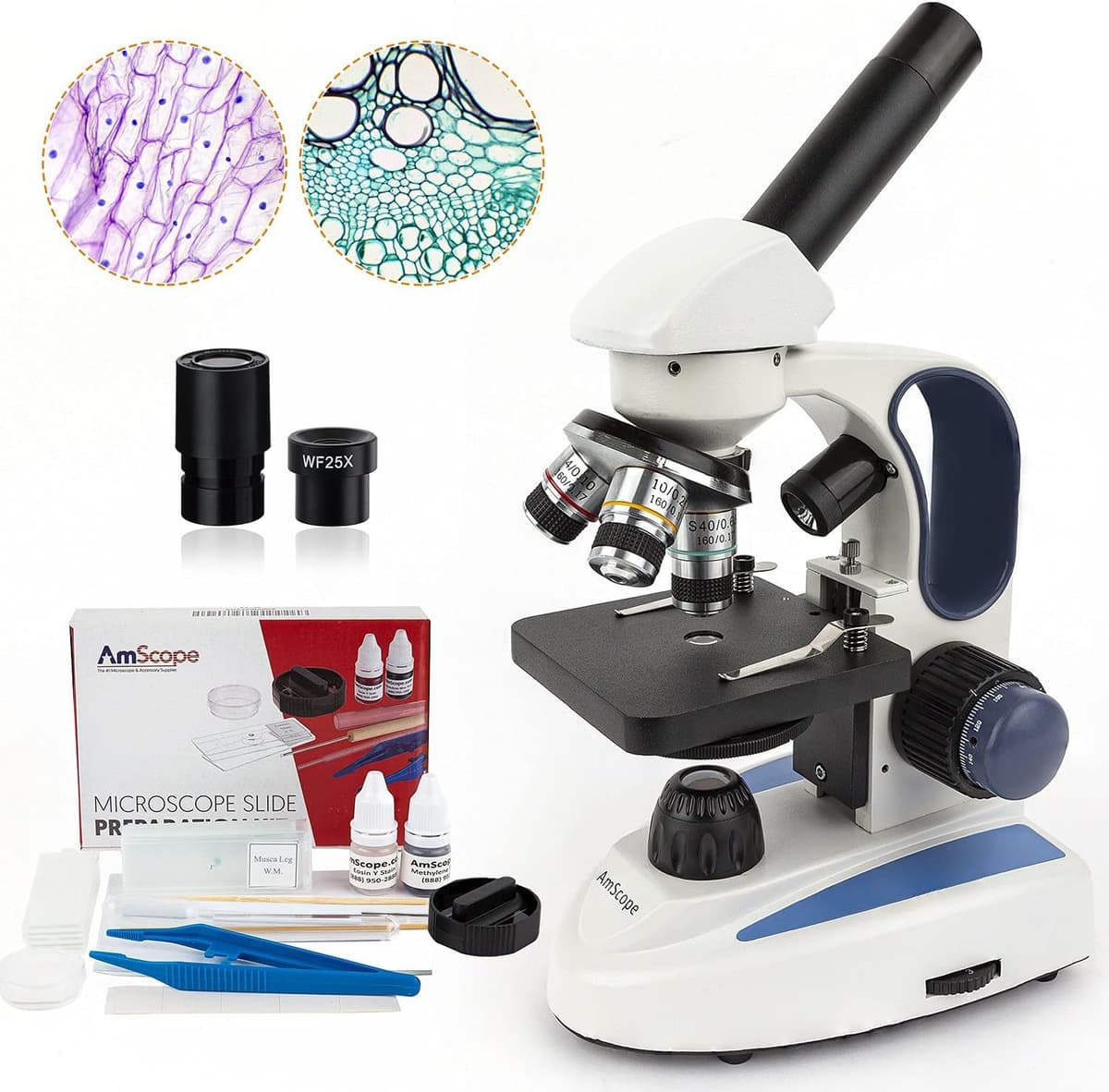 AmScope - Microscopio compuesto monocular de laboratorio 40X-1000X con iluminación LED dual inalámbrica + kit de preparación de portaobjetos SP-14 con portaobjetos en blanco y preparados, y tinciones