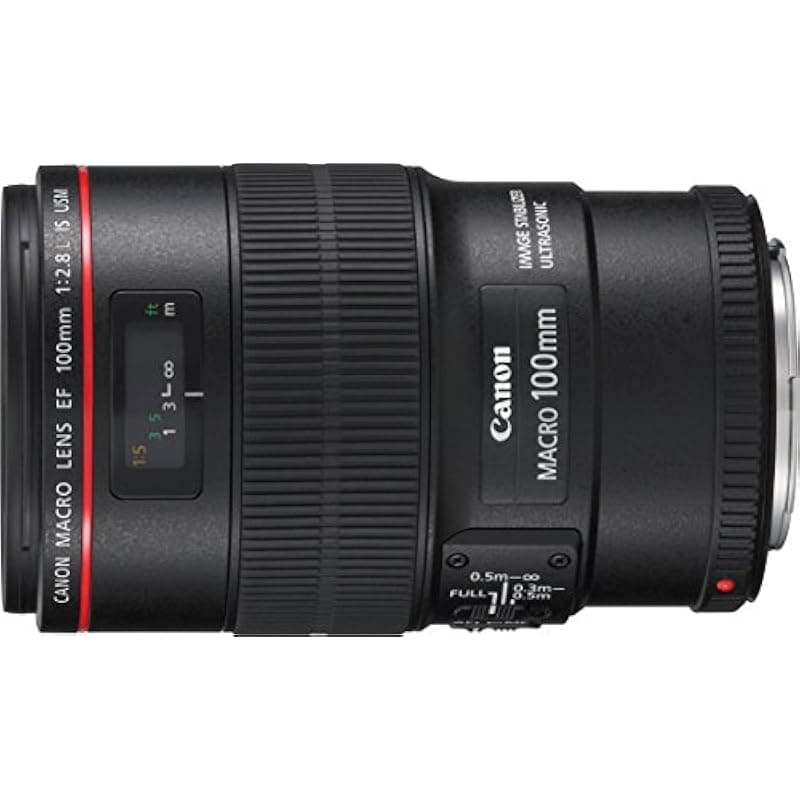 Canon EF 3.937 in f/2.8L es un lente macro USM para cámaras SLR digitales Canon - Versión internacional 242P045