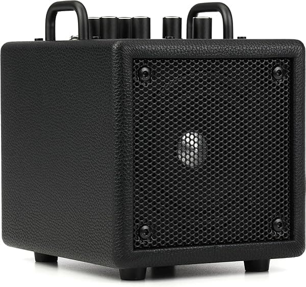 Phil Jones Bass X4 Nanobass 35-watt Multi-instrumento Combo Amplificador - Negro X4 BLK