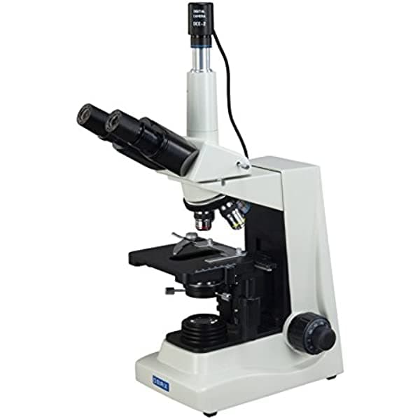 Omax 1600 x Darkfield & brightfield Siedentopf Microscopio con cámara USB con M834-A191-C02