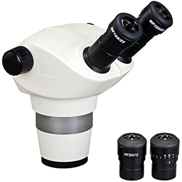 Omax 6 x -100 x Binocular Microscopio trinocular (solo cuerpo HK426A-E20