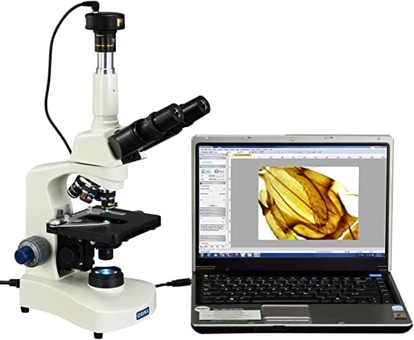 Omax 40 x -2000 x trinocular Compuesto siedentopf LED Microscopio con 10 MP cámara digital M8311-C100U