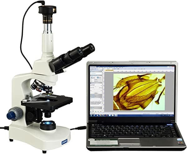 Omax 40 x -2500 X trinocular Compuesto Siedentopf LED Microscopio con cámara digital de 5 MP con M8311Z-C50U