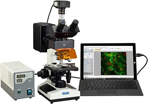 Omax 40 x -1600 X USB3 10 MP Digital epi-fluorescence trinocular Compuesto Lab biológica microscopio M837FLR-C100U3