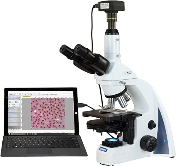 Omax 40X-2000X 8 MP USB3 plan infinity trinocular de contraste de fase Siedentopf LED microscopio compuesto M8333S-PHIP-C80U3