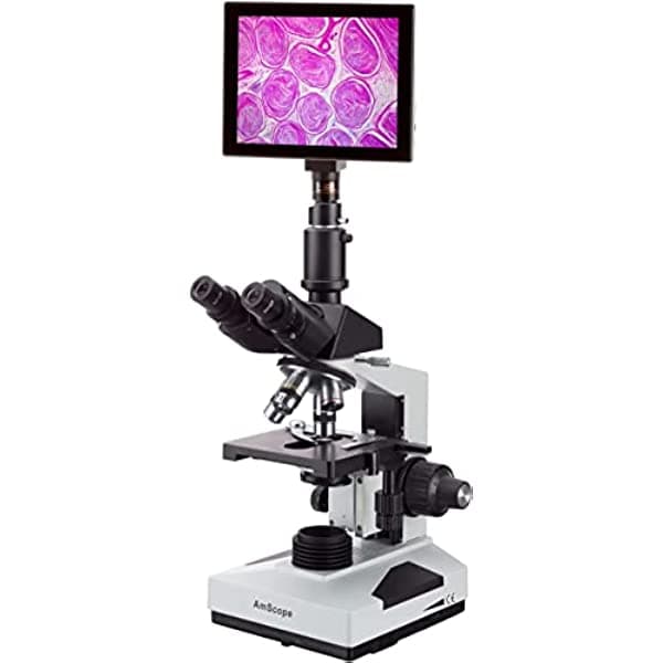 AmScope - Microscopio de compuesto biológico trinocular 40X-2500X + sistema de imágenes con pantalla táctil de 9.7 pulgadas -T490C-TP