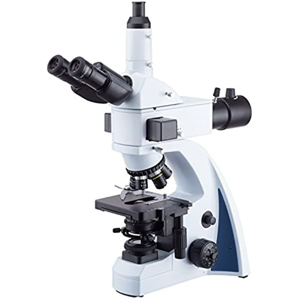 AmScope 40 x -1000 x infinity-corrected blue-band fluorescencia Microscopio con Koehler iluminación LED y Quintuple Nosepiece T670Q-PL-FLLED-B
