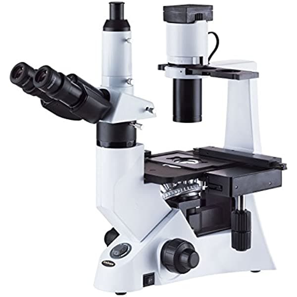 AmScope Microscopio biológico de contraste de fase invertido 40-1000X con iluminación de 30W IN330TC