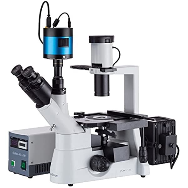 AmScope Plan de in300t-fl-mf603 40 x -1000 x invertido microscopio de fluorescencia + cámara CCD Poca Luz