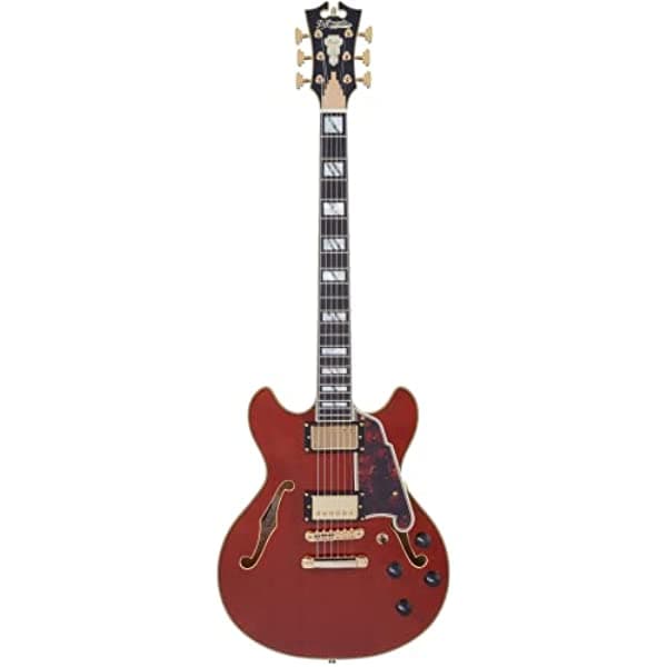 D'Angelico Guitarra eléctrica de 6 cuerdas semihuecas, derecha, viola (DAEMINIDCVIOGS)