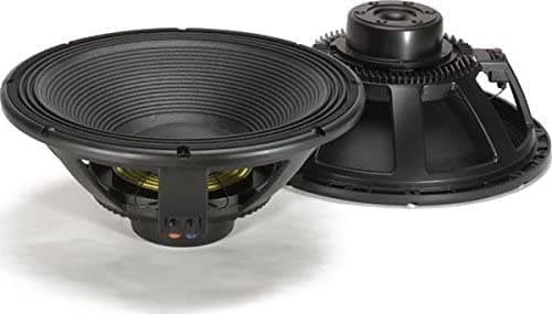RCF lf18 N401 - W - channel Live Sound Monitor