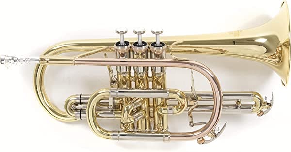 Roy Benson Bb Cornett MOD.CR-302 acabado lacado, incluye caja rectangular clara, amarillo, dorado, plateado (RB701093)