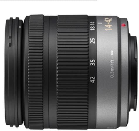 Panasonic Micro Cuatro Tercios 14 - 42 mm Lente de zoom (equivalente a 35 28 - 84 mm) H-FS014042E