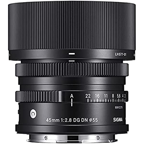 Sigma F2.8 - Lente DG DN contemporánea para Sony E Mount (1.772 in) 360965