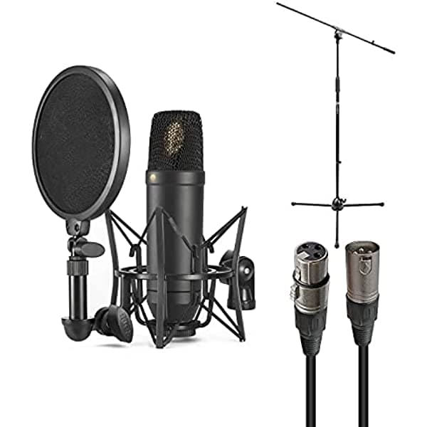 Rode Paquete de micrófono condensador cardioide NT1 con soporte para micrófono, cable de micrófono, filtro pop y paño de pulido NT1-KIT