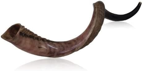 World Of Judaica Shofar mitad pulido, mitad natural de cuerno de kudú, Default