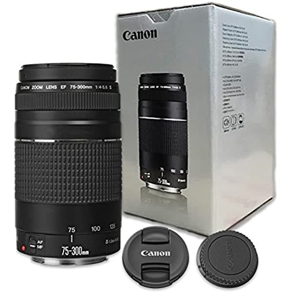 Canon EF 2.953-11.811 in f/4-5.6 III lente con zoom telefotográfico 75-300mm