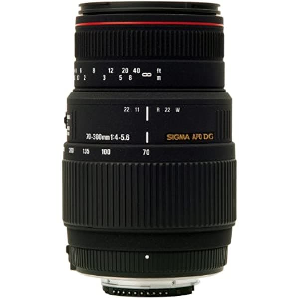 Sigma 70-300mm f/4-5.6 DG APO Macro Teleobjetivo Zoom para Cámaras Réflex Nikon 508306
