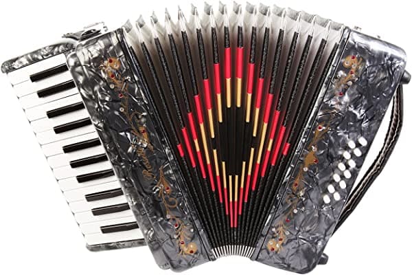 Rossetti 2512 Acordeón a Piano 12 Bajos 25 teclas con correas y Estuche Rígido, gris
