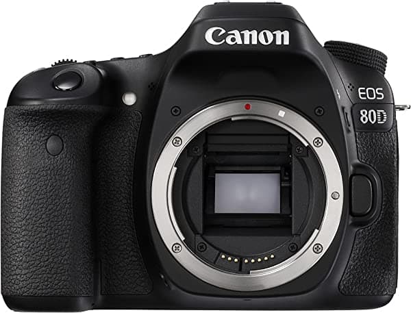 Amazon Renewed Canon EOS 80D Cuerpo de Cámara SLR Digital (Negro) (reacondicionado)