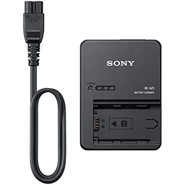 Sony BCQZ1 Cargador de Batería de la Serie Z, Negro