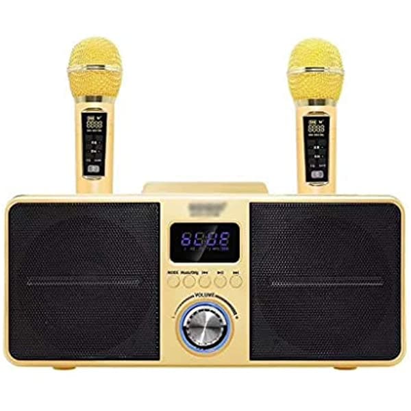 WIONC Wireless Bluetooth Altavoz Parlante Home SD Series Subwoofer Portable Sound Column Con Micrófono Dual Diaphragm (Color : SD-307 Golden, Size : 330 175 155MM) jjzx-125