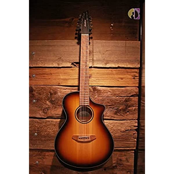 Breedlove Eco Discovery S Concert Ce 12 Cuerdas Guitarra Electroacústica - Edgeburst 12 Cuerdas Sitka/Caoba Africana DSCN44XCESSAM