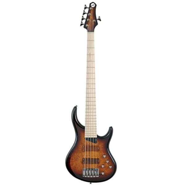 Mtd Kingston Bajo Z 5 Cuerdas De Guitarra Arce Diapasón Color Sunburst Z' Z5MP-TS