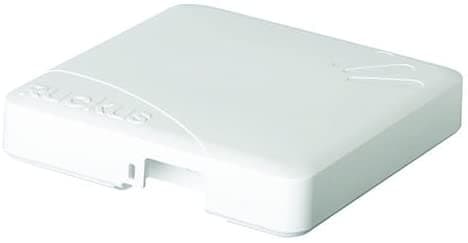Ruckus ZoneFlex 7372 IEEE 802.11n 300 Mbps Punto de Acceso Inalámbrico 901-7372-US50