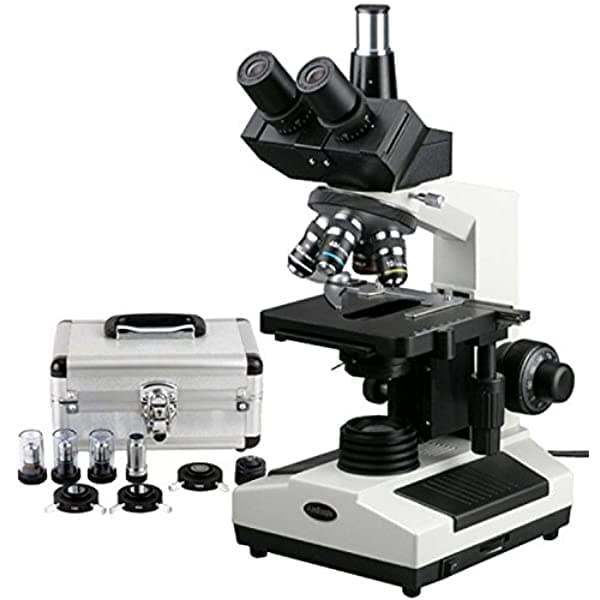 AmScope T390B-PCS Microscopio Trinocular Compuesto 40X-2000X Aumentos, Ocular WF10X y WF20X, Iluminación Profesional de Campo Claro y Contraste de Fase, Condensador Abbe, Halógena, Platina Mecánica de Doble Capa, 110V-220V Auto-Switching, Incluye 3 Objetivos de Contraste de Fase con Anillos