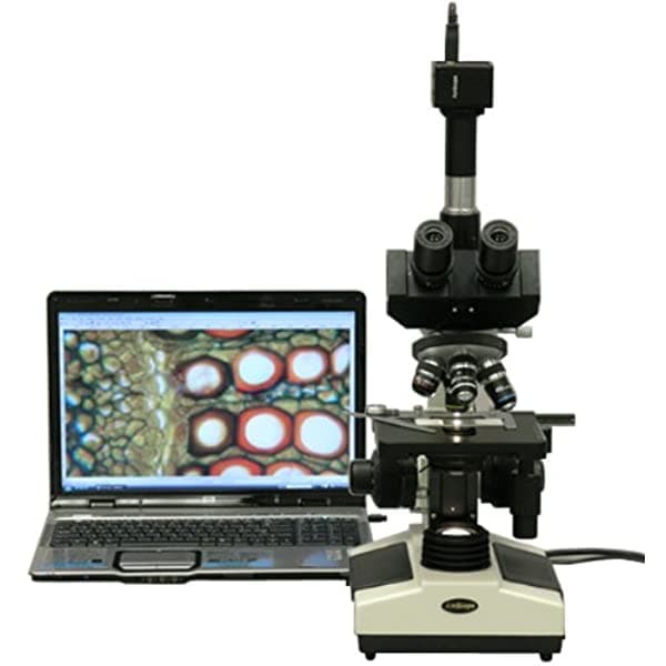 AmScope T390A-3M Microscopio Trinocular Compuesto Digital Profesional 40X-1600X Aumentos, Oculares WF10X y P16X, Iluminación Halógena de Campo Claro, Condensador Abbe, Platina Mecánica de Doble Capa, 110V-220V Auto-Switching, Incluye Cámara de 3MP con Lente de Reducción y Software